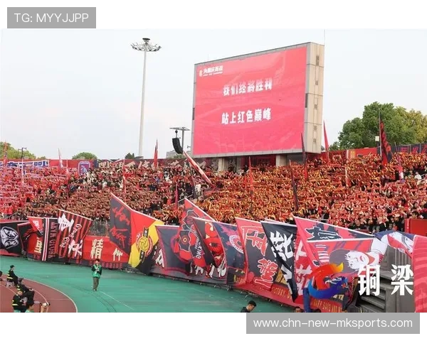重庆铜梁龙客场挑战上海申花，青春风暴能否席卷上海滩？，铜梁龙景区门票多少钱